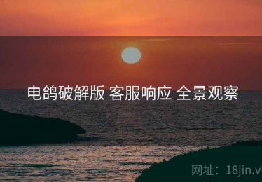 电鸽破解版 客服响应 全景观察