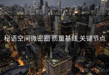 秘语空间微密圈 质量基线 关键节点