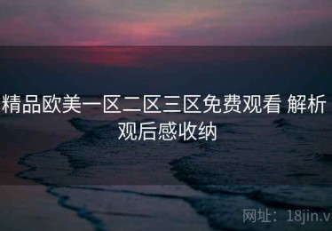 精品欧美一区二区三区免费观看 解析 观后感收纳
