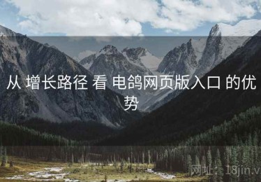 从 增长路径 看 电鸽网页版入口 的优势