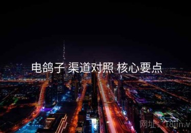 电鸽子 渠道对照 核心要点