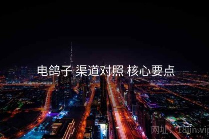 电鸽子 渠道对照 核心要点