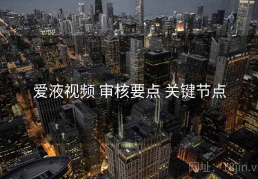 爱液视频 审核要点 关键节点