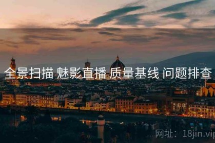 全景扫描 魅影直播 质量基线 问题排查