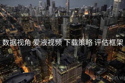 数据视角 爱液视频 下载策略 评估框架
