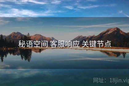 秘语空间 客服响应 关键节点