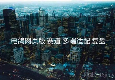 电鸽网页版 赛道 多端适配 复盘