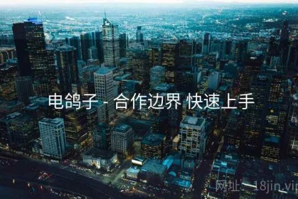 电鸽子 - 合作边界 快速上手