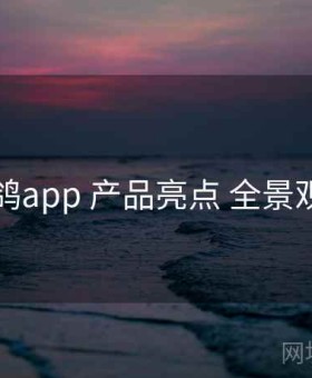 电鸽app 产品亮点 全景观察