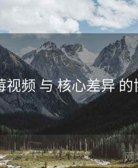 草莓视频 与 核心差异 的协同