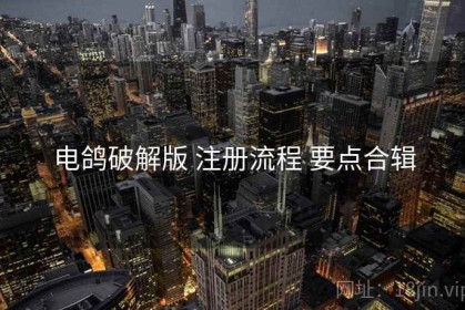 电鸽破解版 注册流程 要点合辑