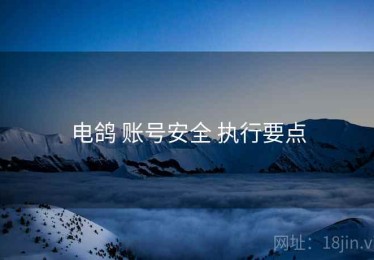电鸽 账号安全 执行要点