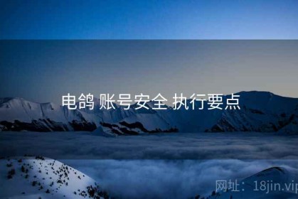 电鸽 账号安全 执行要点