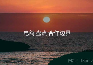 电鸽 盘点 合作边界