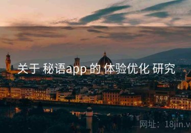 关于 秘语app 的 体验优化 研究