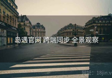 岛遇官网 跨端同步 全景观察