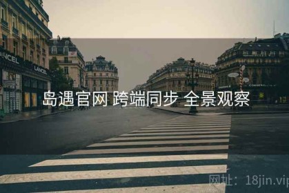 岛遇官网 跨端同步 全景观察