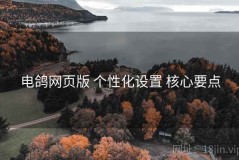 电鸽网页版 个性化设置 核心要点