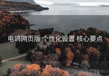 电鸽网页版 个性化设置 核心要点