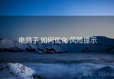 电鸽子 如何优化 风险提示