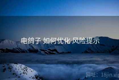 电鸽子 如何优化 风险提示
