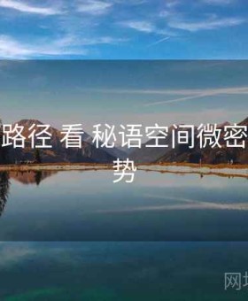 从 传播路径 看 秘语空间微密圈 的优势