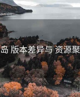 趣岛 版本差异与 资源聚合