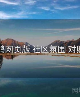 电鸽网页版 社区氛围 对照表