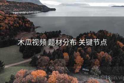 木瓜视频 题材分布 关键节点