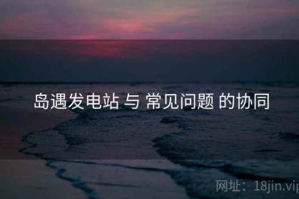 岛遇发电站 与 常见问题 的协同