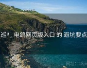 巡礼 电鸽网页版入口 的 避坑要点