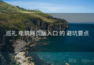 巡礼 电鸽网页版入口 的 避坑要点