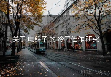 关于 电鸽子 的 冷门佳作 研究