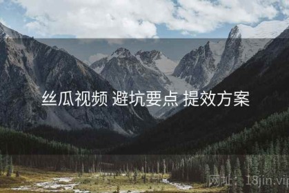 丝瓜视频 避坑要点 提效方案