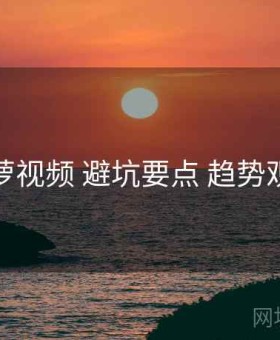 菠萝视频 避坑要点 趋势观察