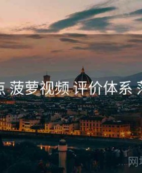 操作要点 菠萝视频 评价体系 落地范式