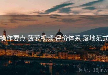 操作要点 菠萝视频 评价体系 落地范式