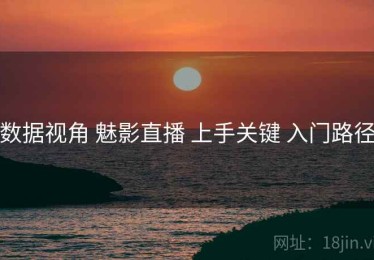 数据视角 魅影直播 上手关键 入门路径
