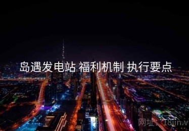 岛遇发电站 福利机制 执行要点