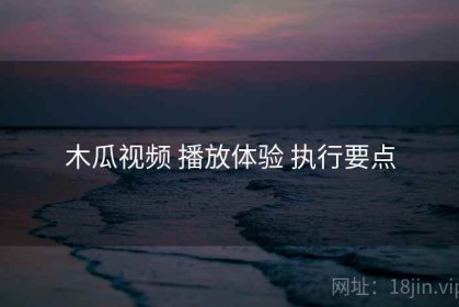 木瓜视频 播放体验 执行要点