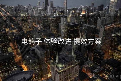电鸽子 体验改进 提效方案