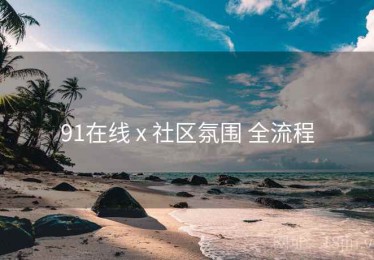 91在线 x 社区氛围 全流程