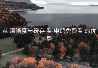 从 清晰度与缓存 看 电鸽免费看 的优势