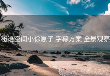 秘语空间小徐崽子 字幕方案 全景观察
