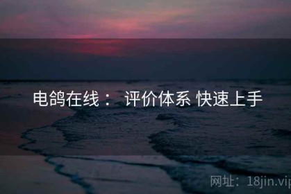 电鸽在线 ： 评价体系 快速上手