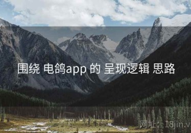 围绕 电鸽app 的 呈现逻辑 思路