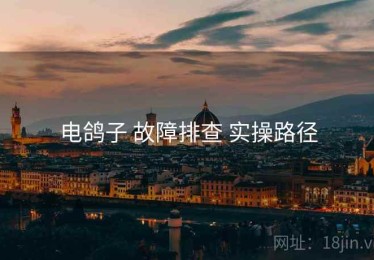 电鸽子 故障排查 实操路径