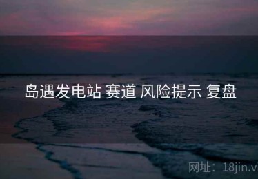 岛遇发电站 赛道 风险提示 复盘