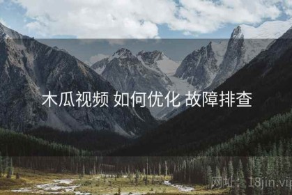 木瓜视频 如何优化 故障排查