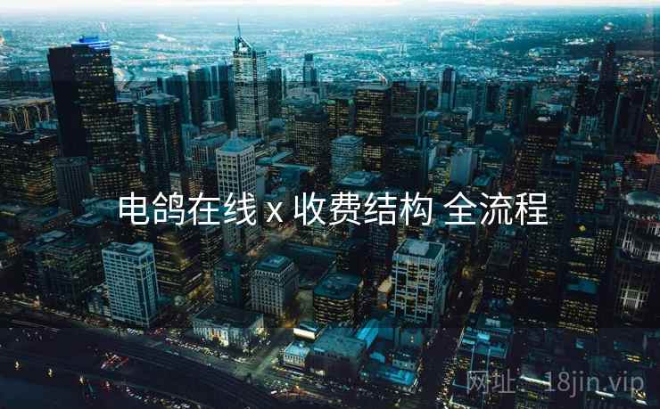 电鸽在线 x 收费结构 全流程